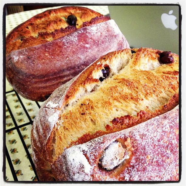 Calamata and Oregano Bread The Fresh Loaf
